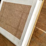 Frame mounted butterflies