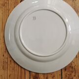 Blue Badonviller retro plates