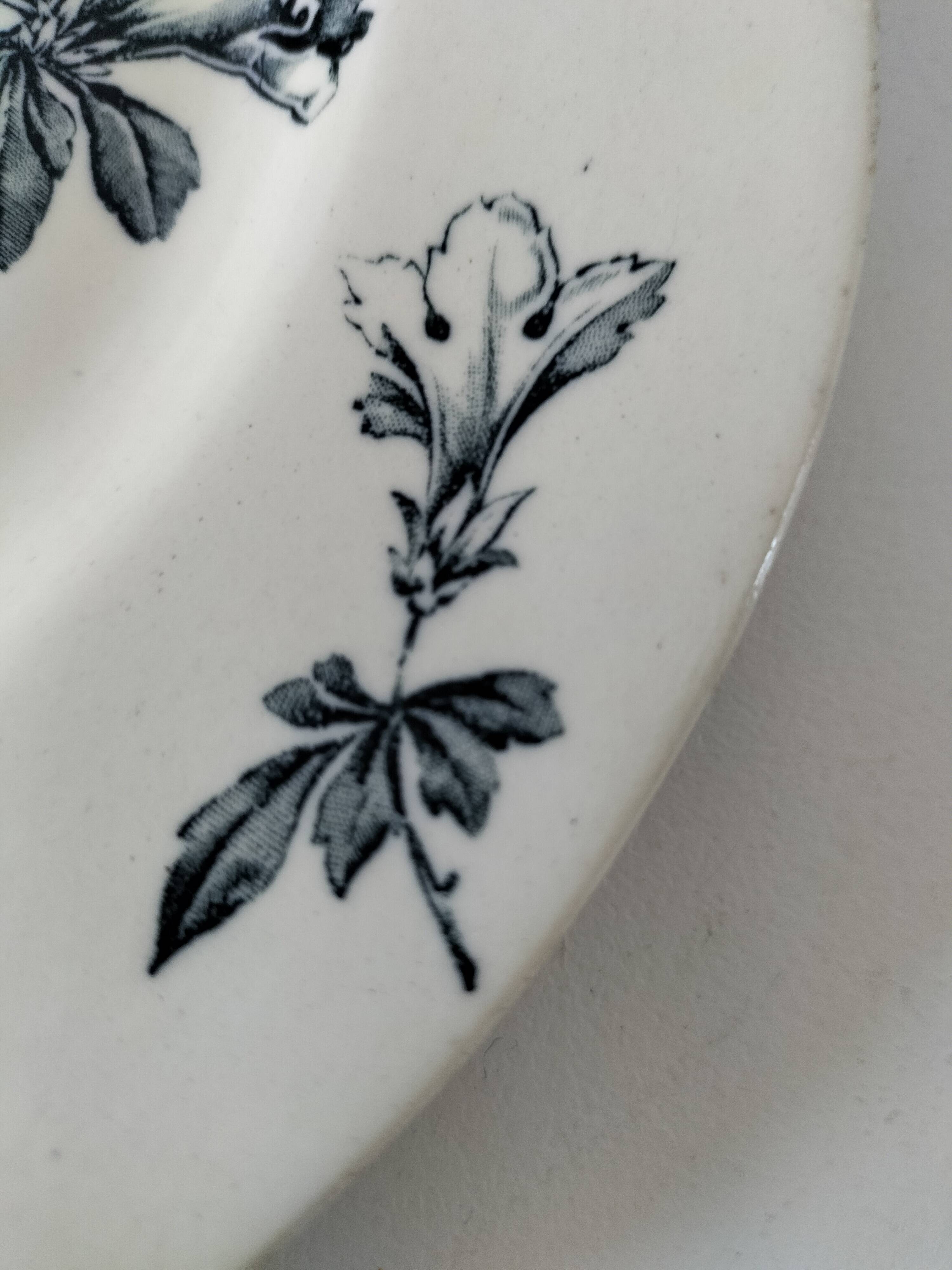 Antique plate, “Azaléa” model – KG Lunéville (circa 1930)