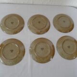 6 plates of sandstone desserts from the CNP France