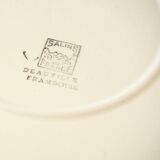 8 plates colors Salins