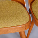 Ensemble de chaises en hêtre brun et jaune du milieu du siècle Oswald Haerdtl années 1950 Tchéquie