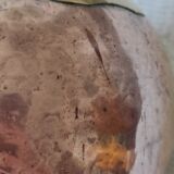 Copper and brass pitcher