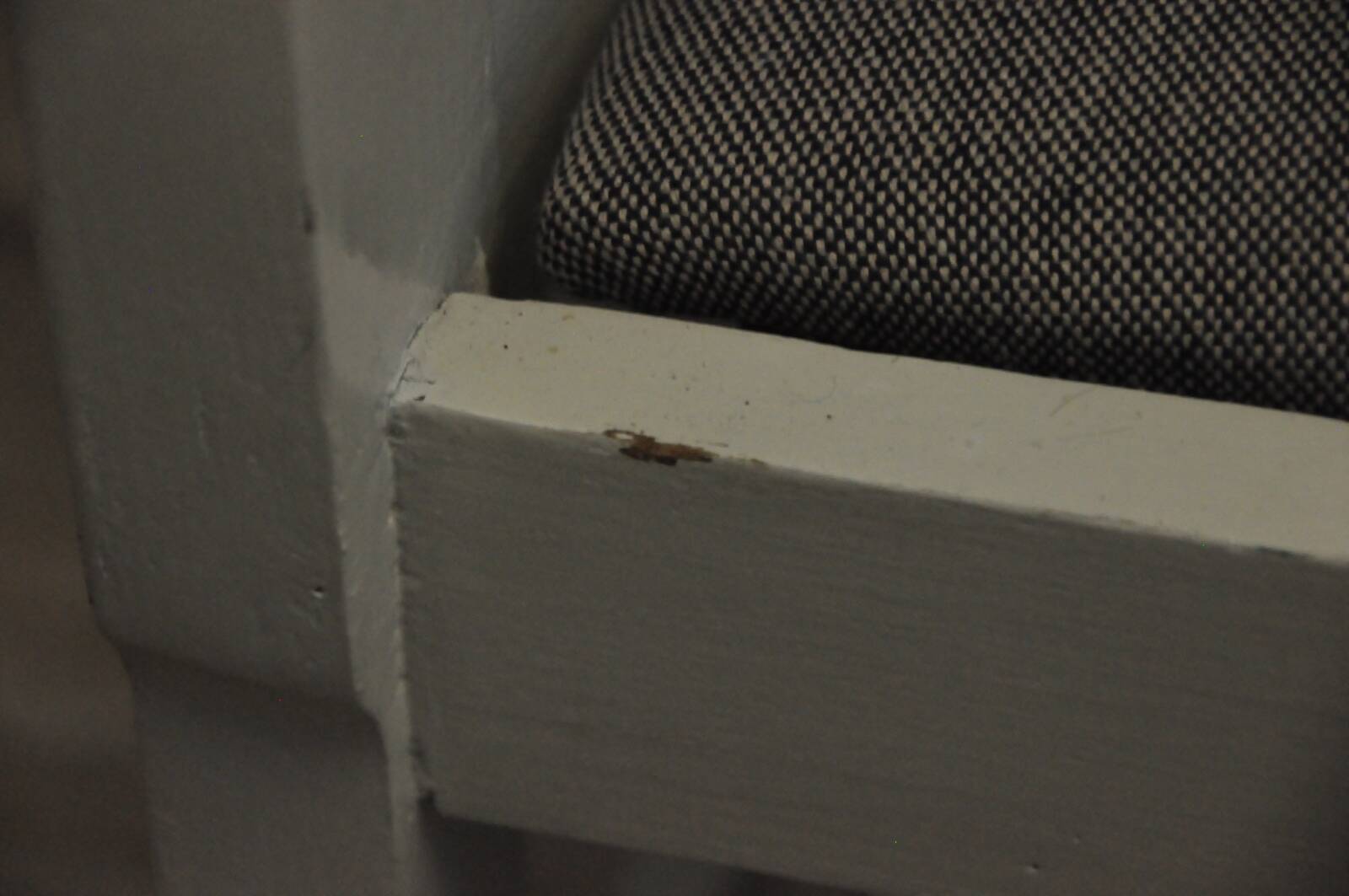 Fauteuil de style français SHABBY CHIC