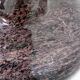 Polished granite vase