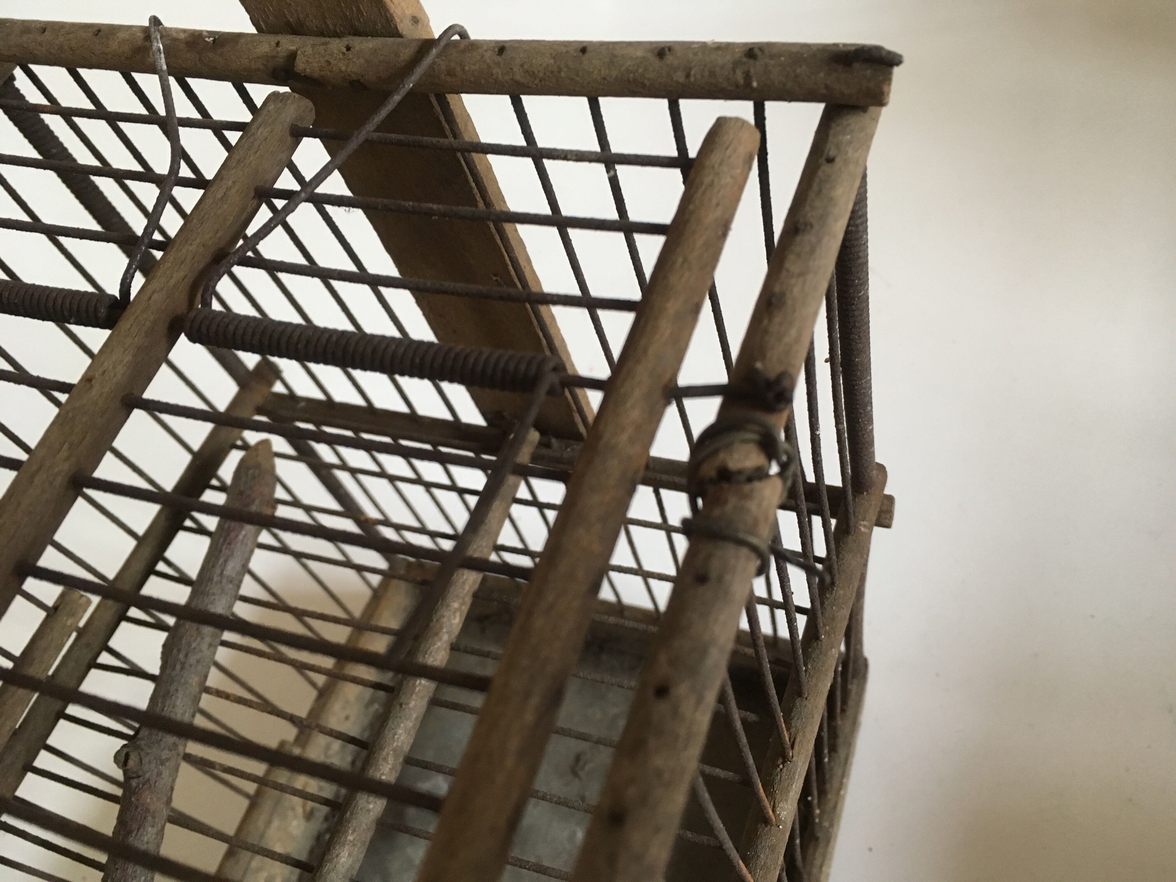 Garden bird cage 19th in zinc and wood