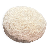 Fossil sea sponge