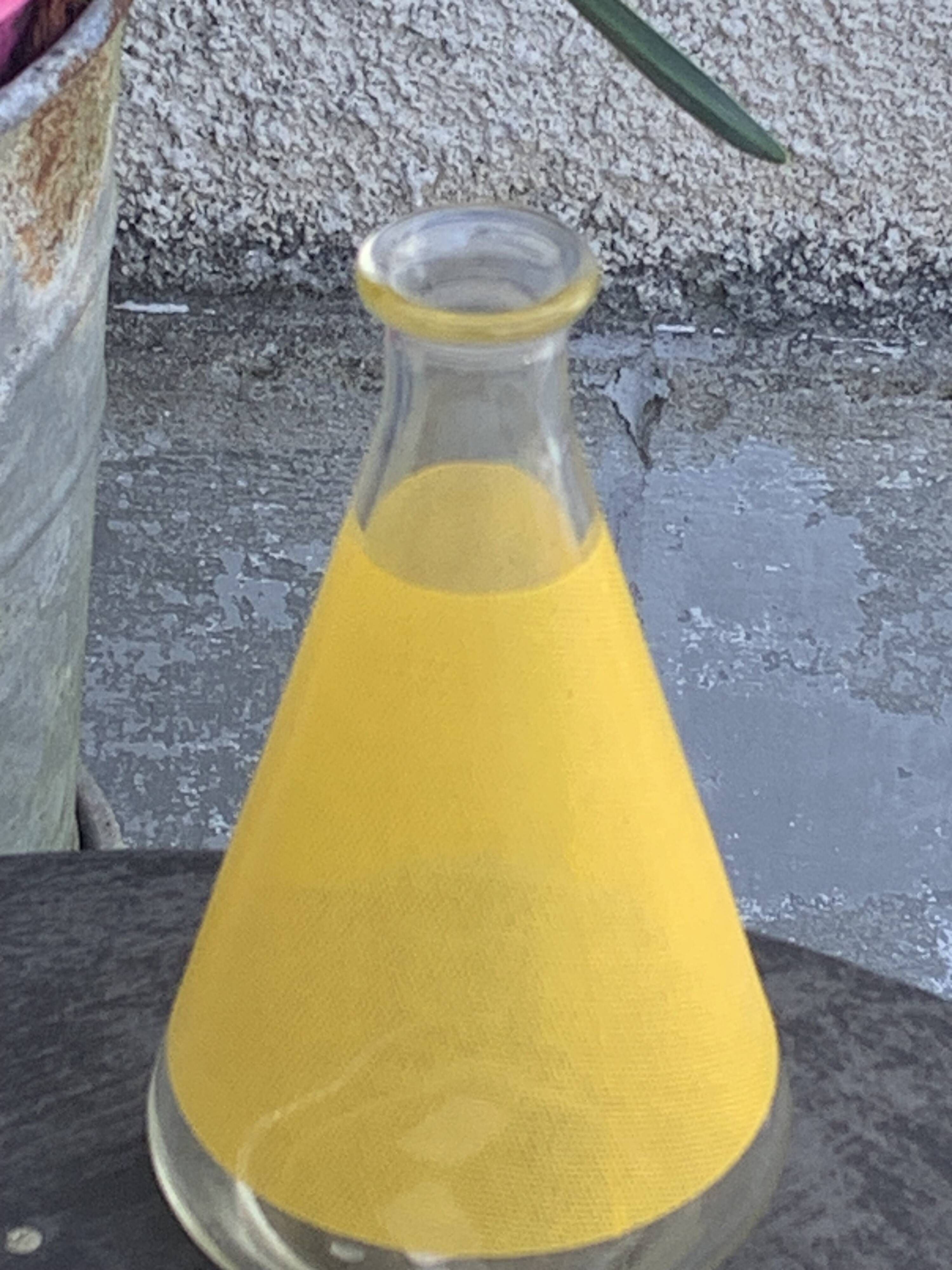 Liqueur service composed of a glass carafe and 8 small yellow screen-printed glasses