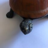 Amber turtle lamp