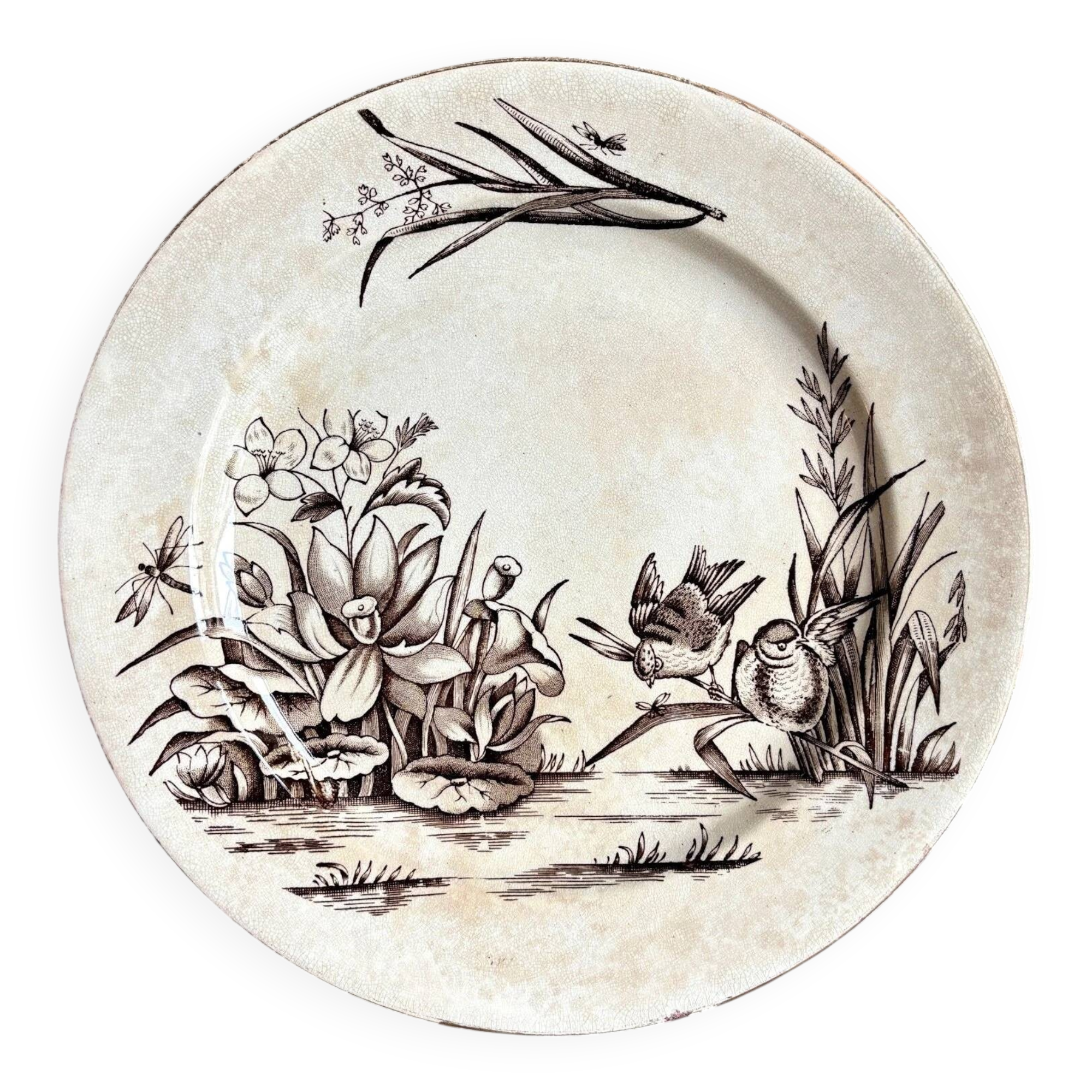 Assiette plate Tunstall en terre de fer anglaise marron et dorée, service "Amazon" vers 1880