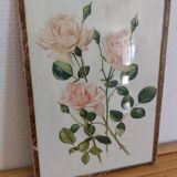 Tableau botanique rose