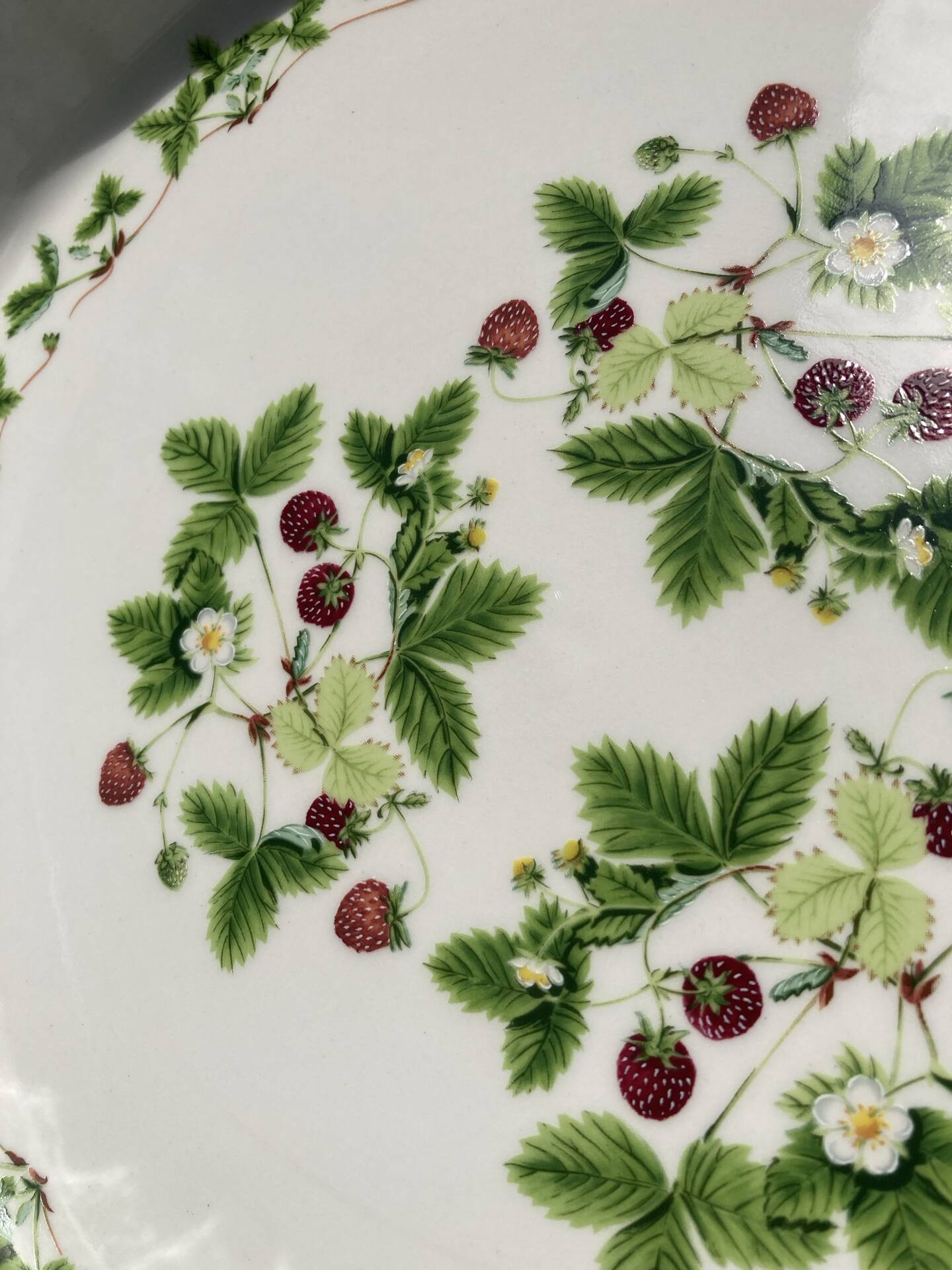 Flan mould Susan Williams-Ellis botanical patterns