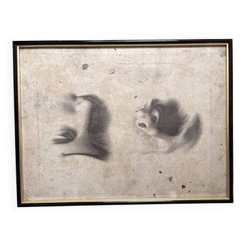 Old Print Engraving 19th Century Shadowed Notebook Nose - Bertrand Reverdin Coindet