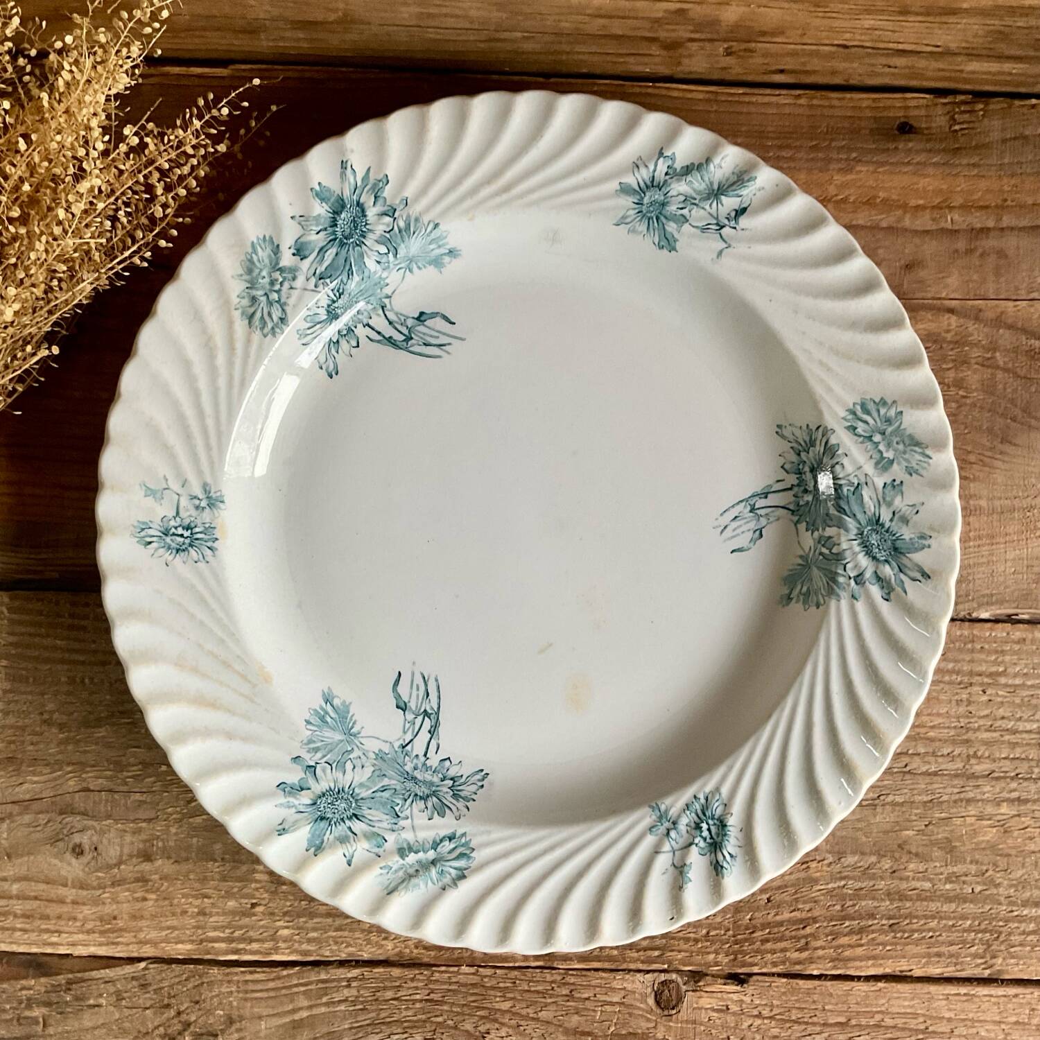 Plat Petrus Regout Pinksterbloem
