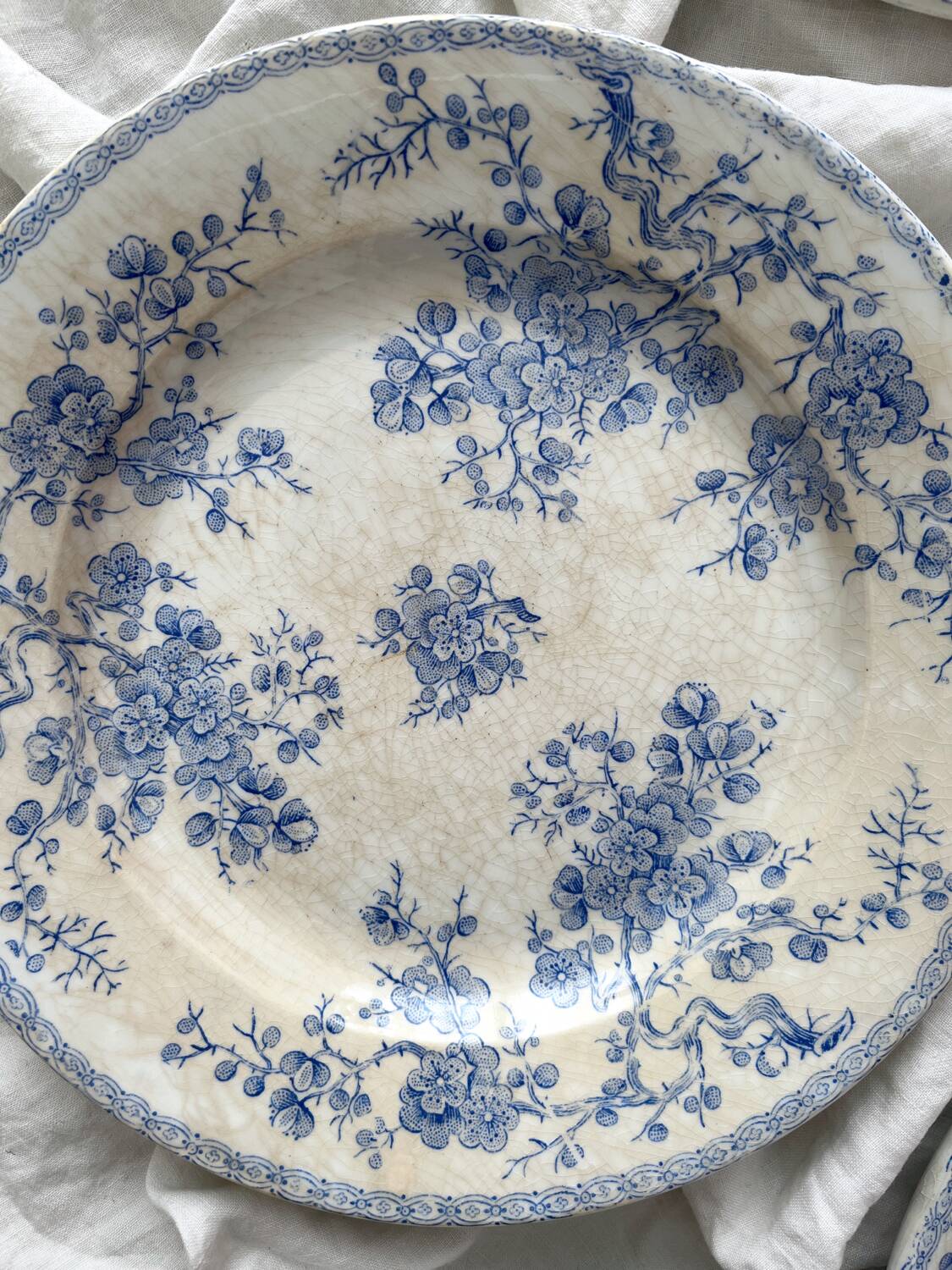 8 flat ironstone plates “Fleurette” Gien