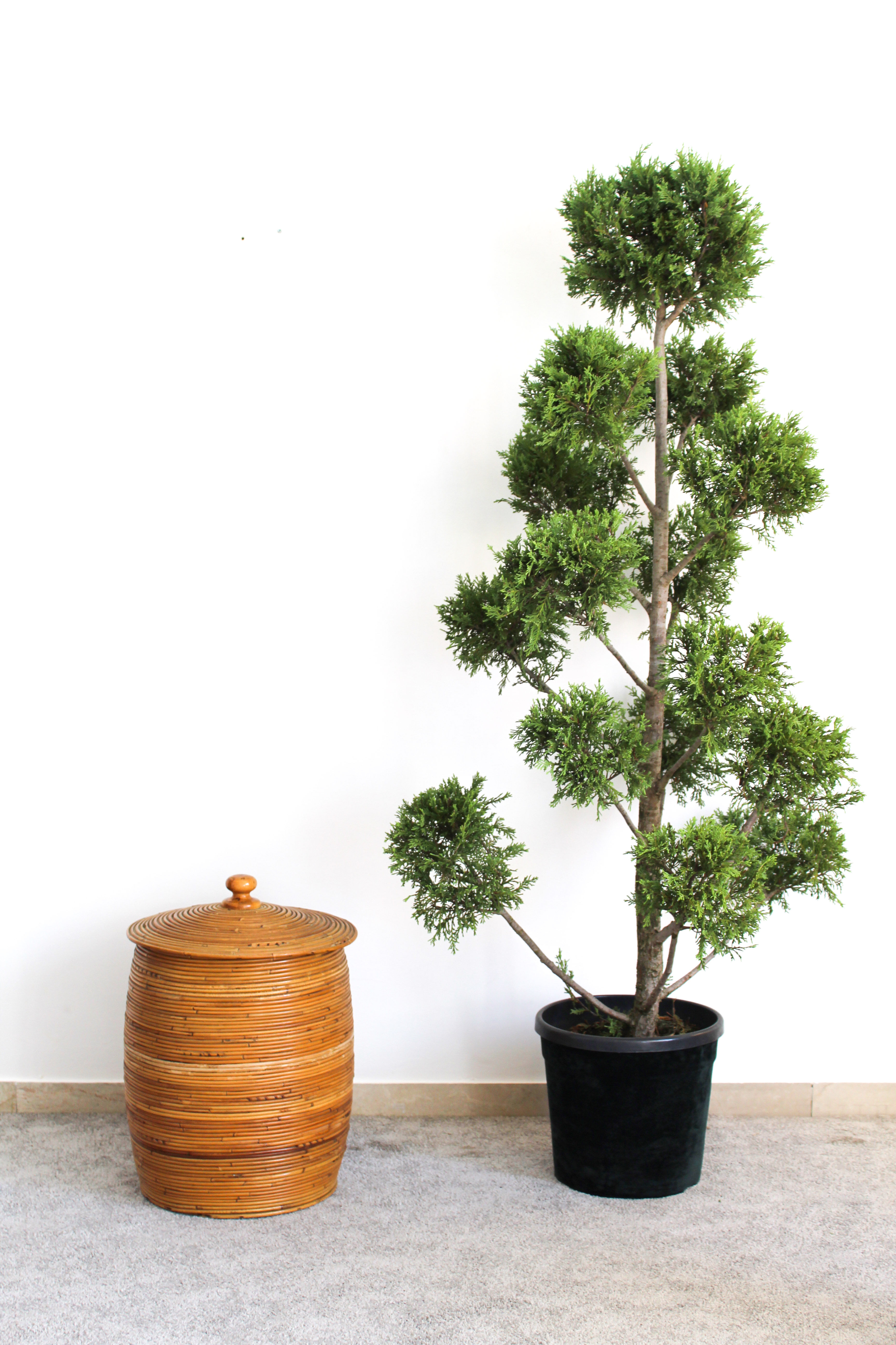 Cylindrical wicker basket, Italy 70's