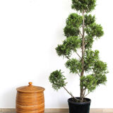 Cylindrical wicker basket, Italy 70's