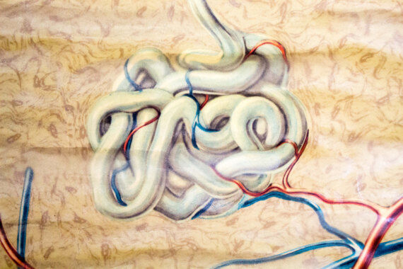 Poster graphic skin hair Deutsches Hygiene Institute 1951