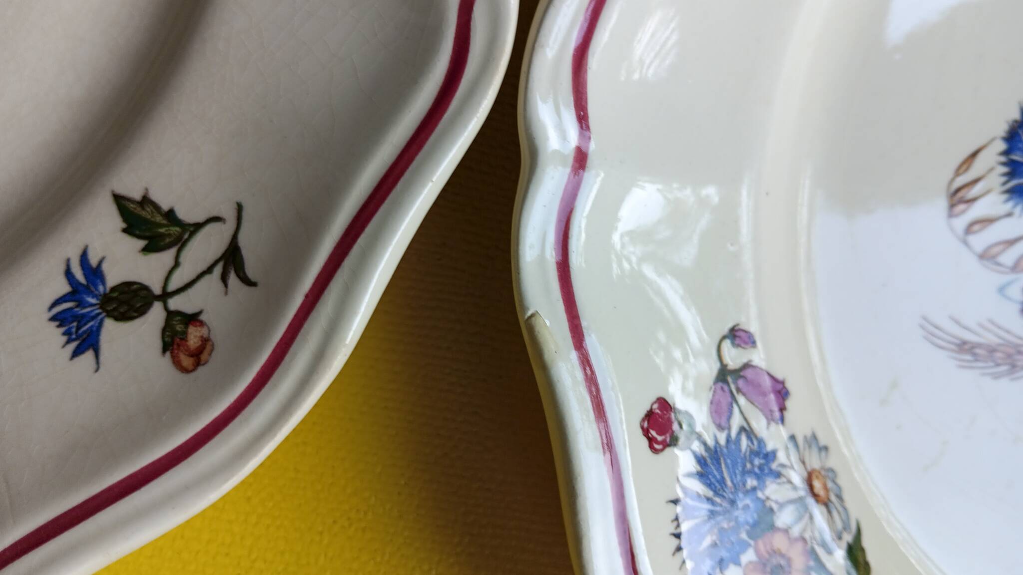 4 Digoin Sarreguemines “Agreste” flower pattern dinner plates