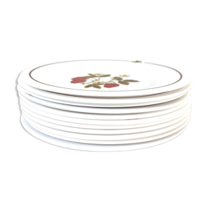 Assiettes arcopal opaline