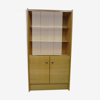 Furniture showcase and storage 2 doors