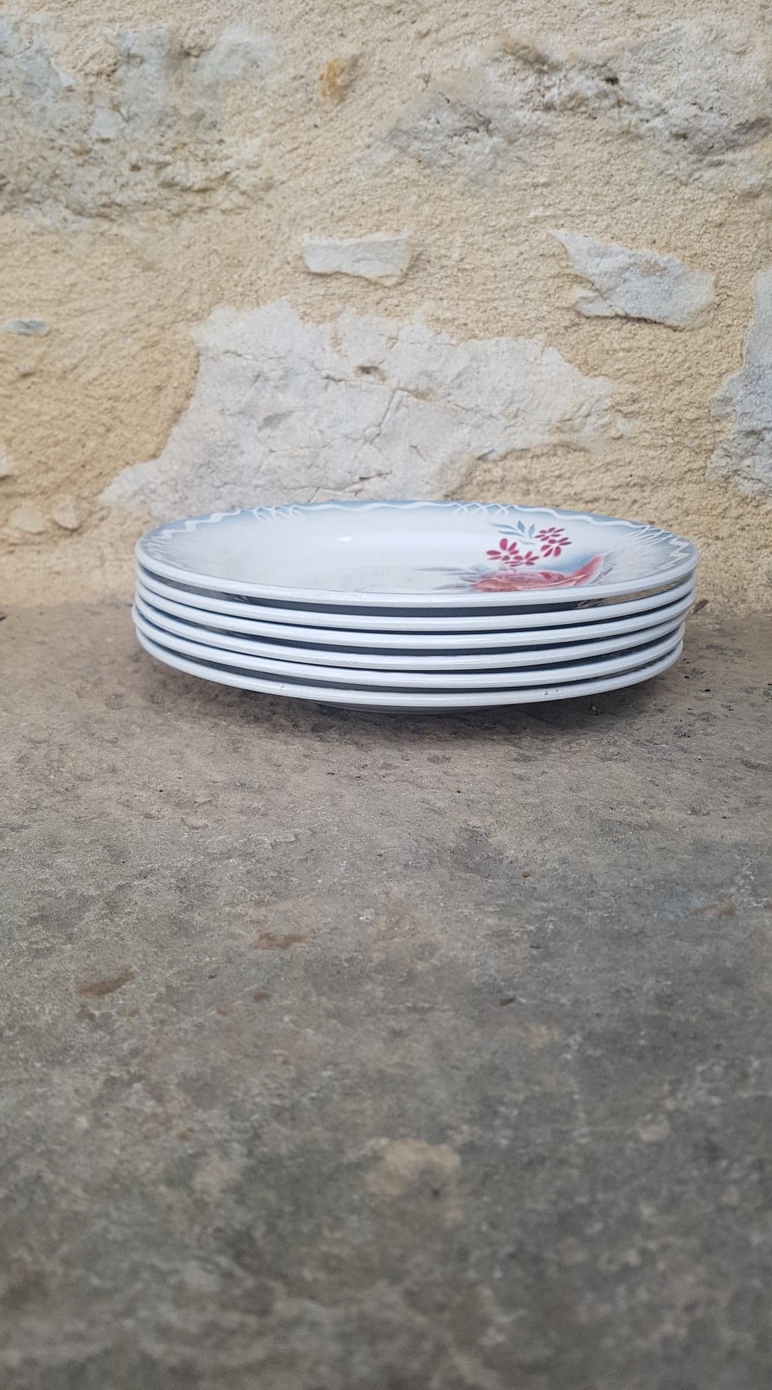 Set of 6 plates Digoin Sarreguemines model Lot