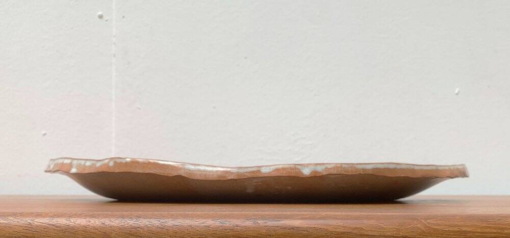 Large German ceramic plate with fish from the mid-century.