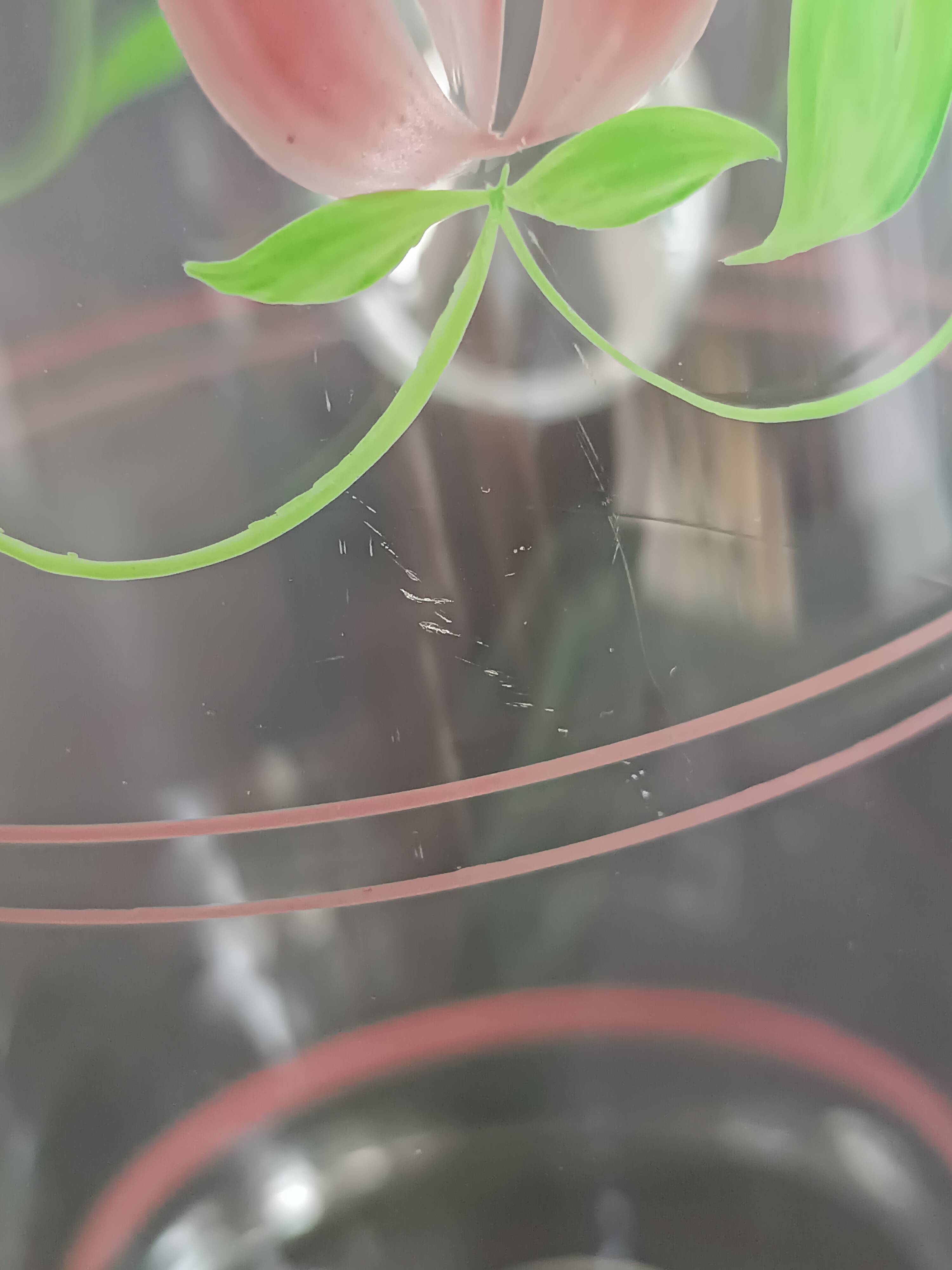 Carafe and four glasses in painted crystal, Hartzviller crystal factory, 1970