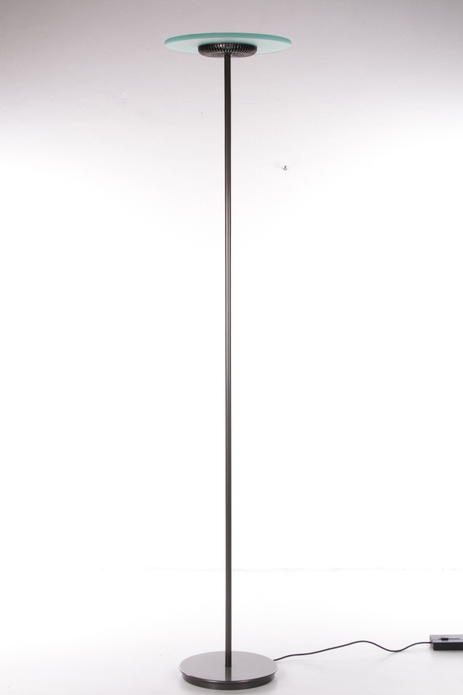 Aureola Halo Floor Lamp by Cini & Nils, Italy 1980