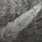 Burnt wood coffee table