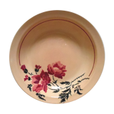 Dish hollow earthenware