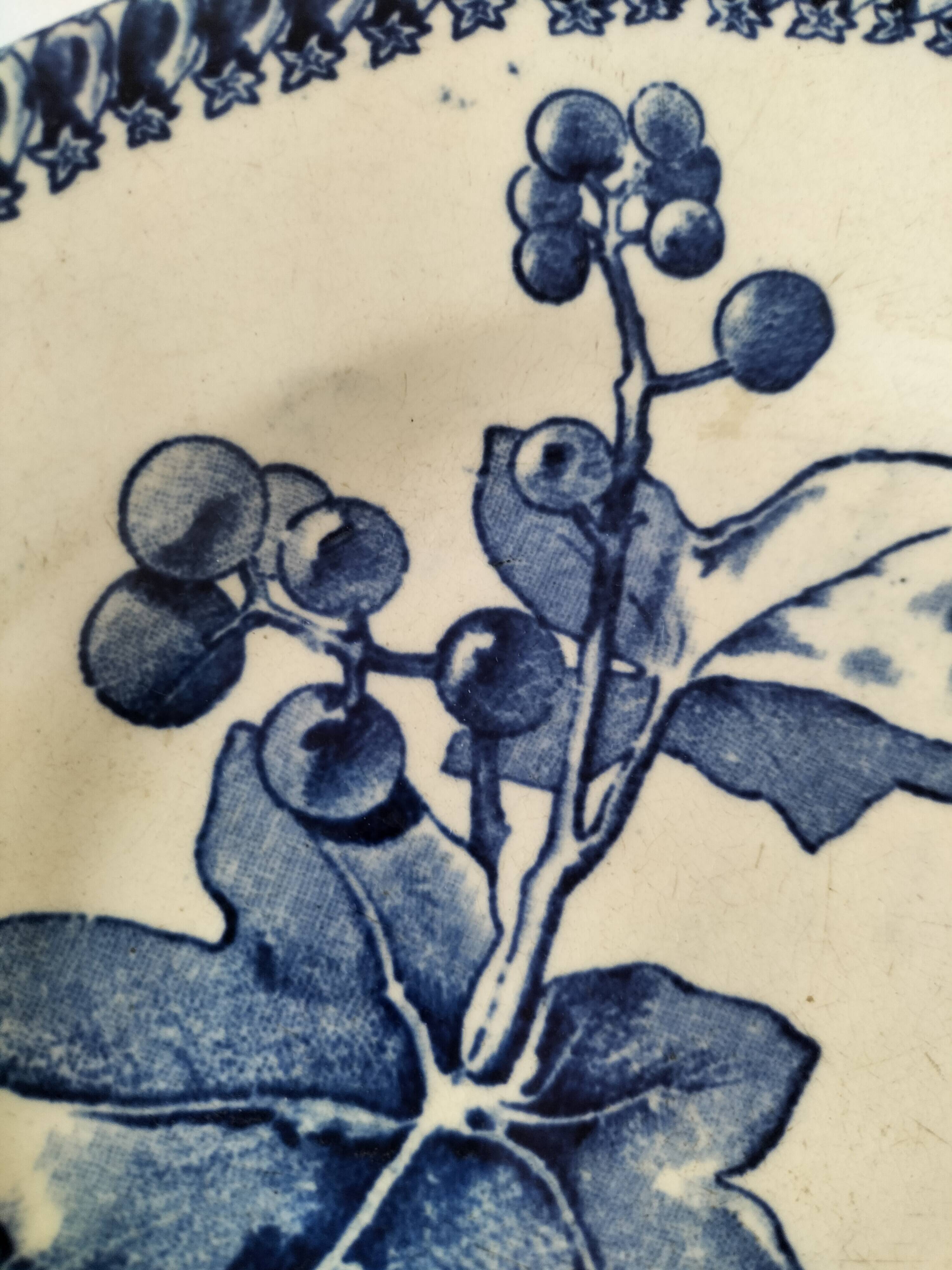 E. Bourgeois Grand Dépôt plant blue decoration washbasin plate