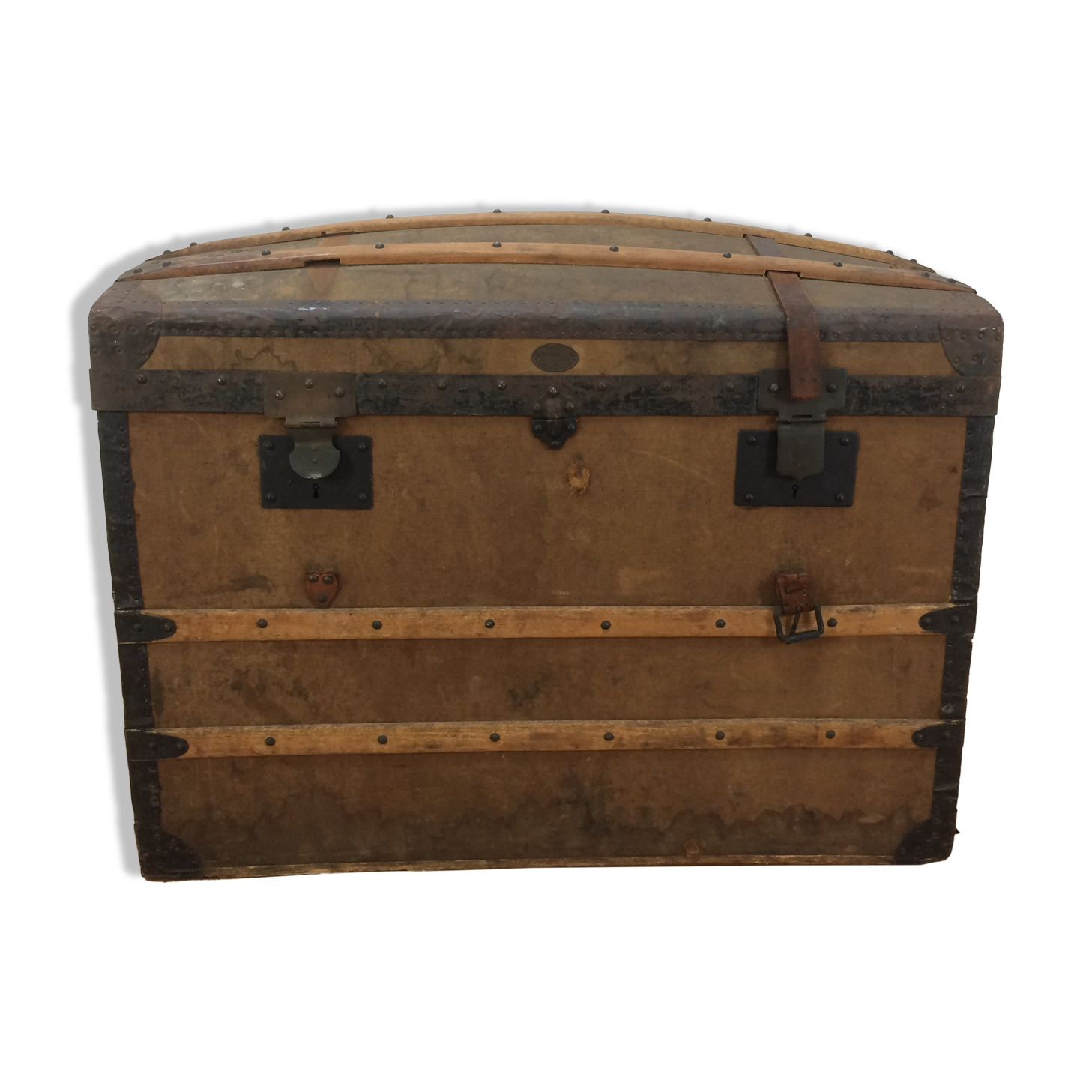 Bulging trunk at the tourist