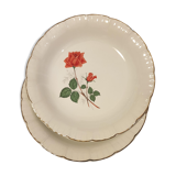 12 plates Digoin Sarreguemines