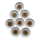 Dessert plates sea urchin saint amand by 8