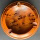 Boxwood ashtray