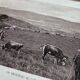 Col de la Perche, Pyrénées-Orientales, photo print from 1937.