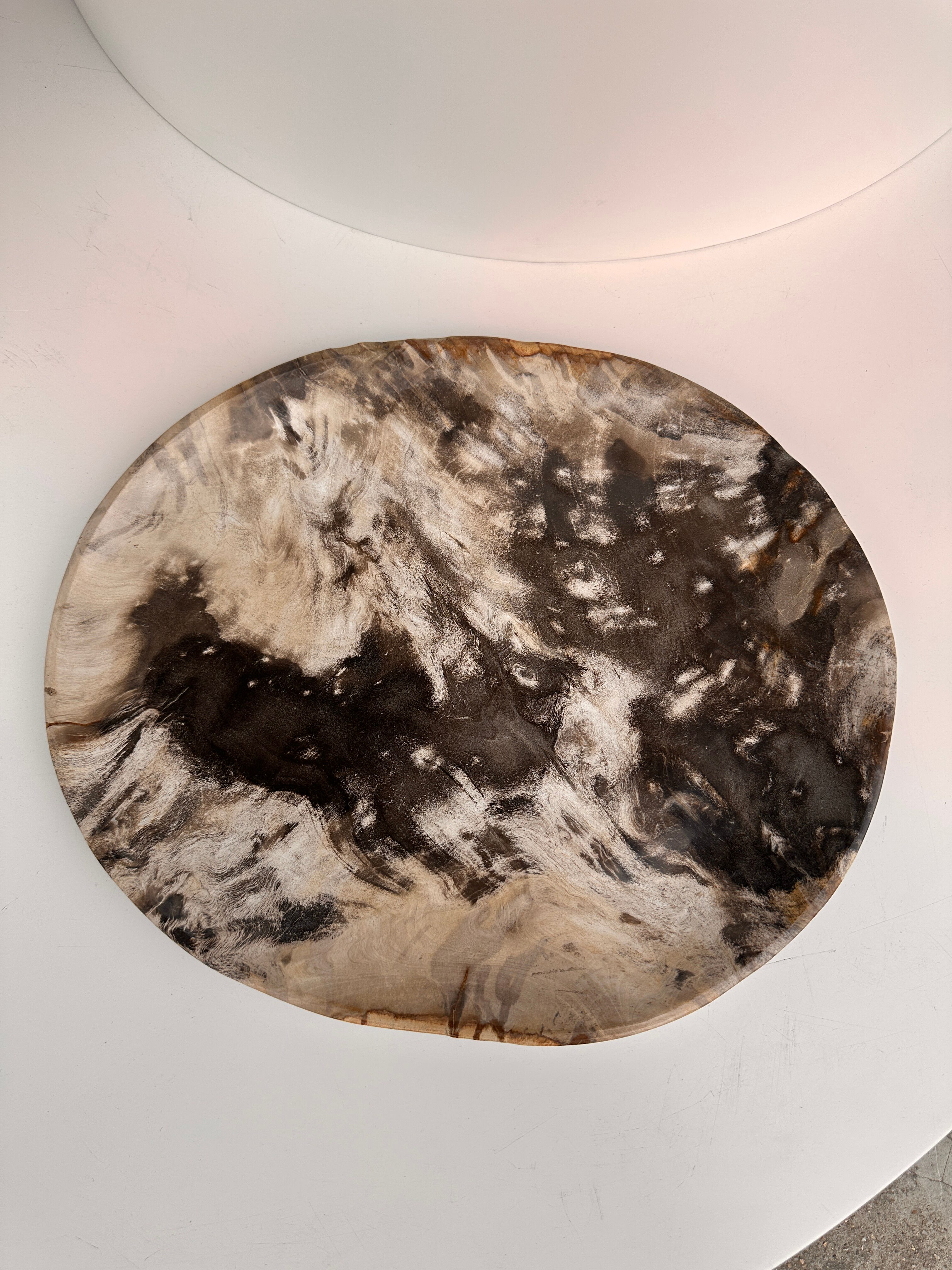 Very large empty pocket or petrified wooden flat