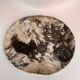 Very large empty pocket or petrified wooden flat
