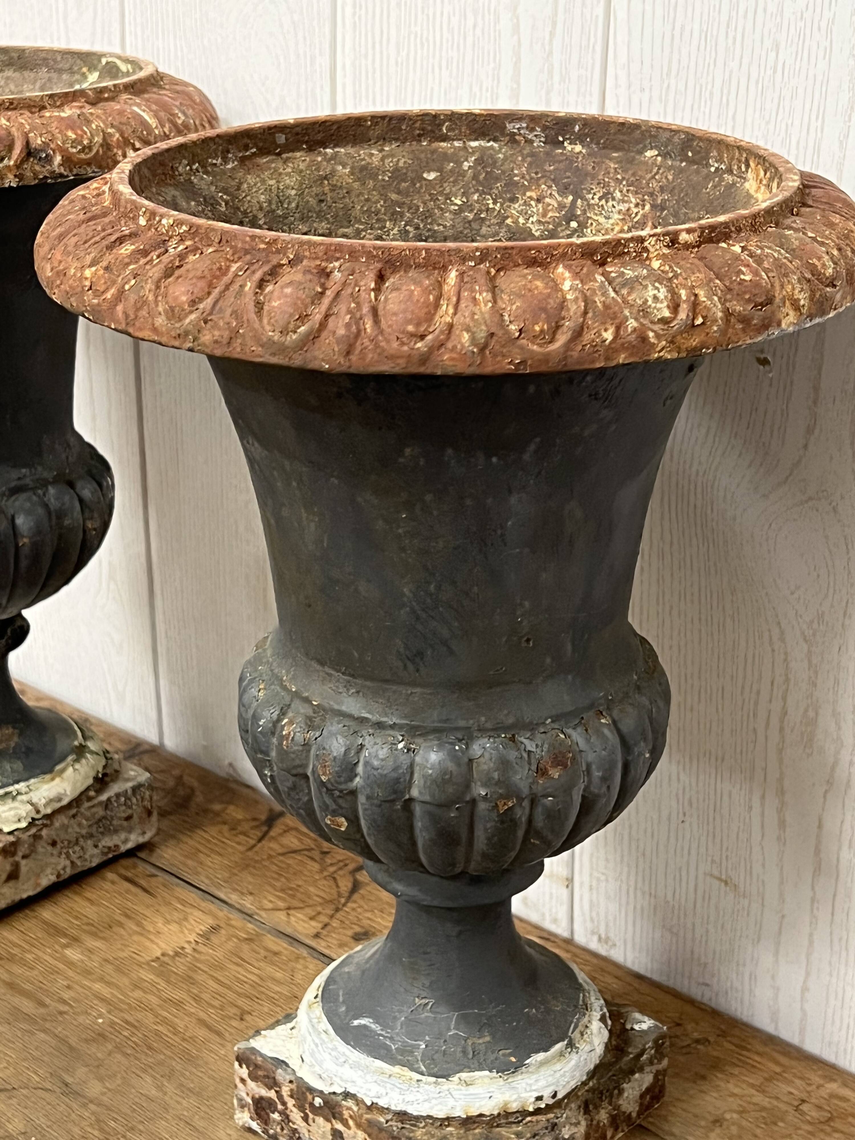 Pair of Medici vases