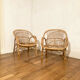 Pair of rattan armchairs