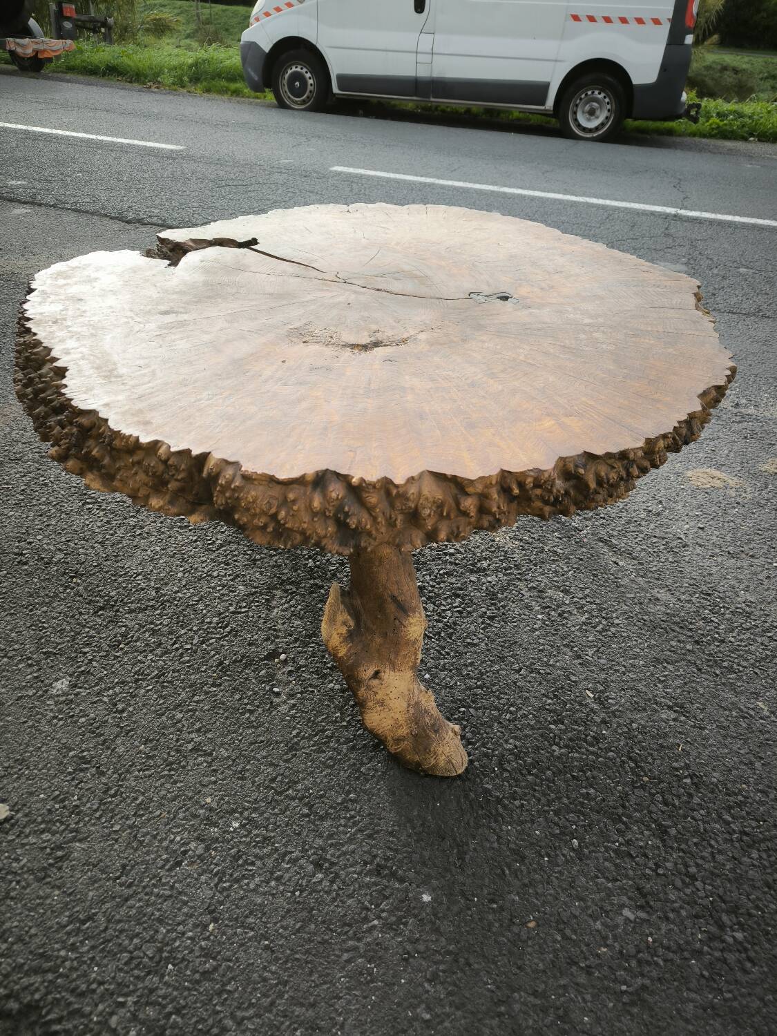 Brutalist coffee table in solid elm burl 108 cm diameter