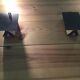 Paire appliques murales CP1 par Charlotte Perriand pour Steph Simon