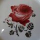 Lot of 14 dessert plates