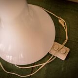 DLG floor lamp Carlo Nason for Mazzega, 1960s