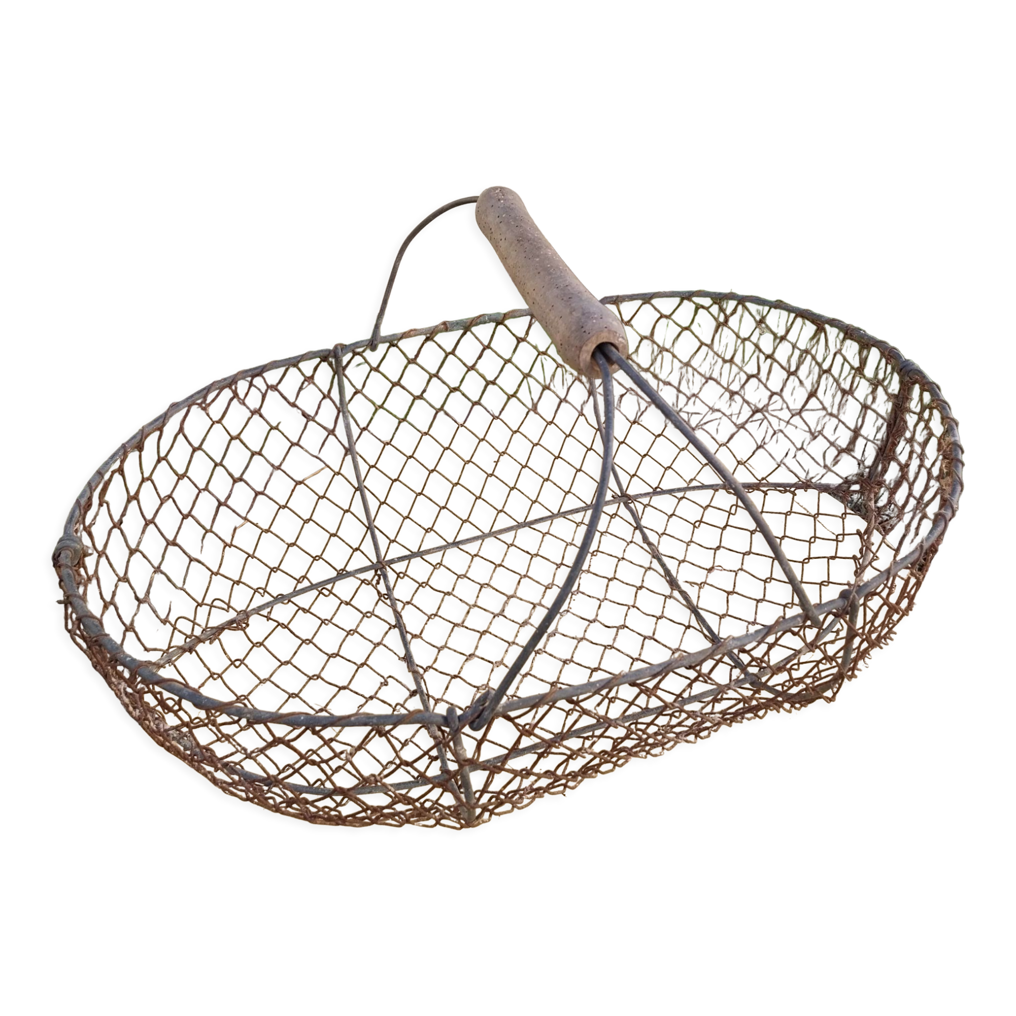 Shellfish fishing basket