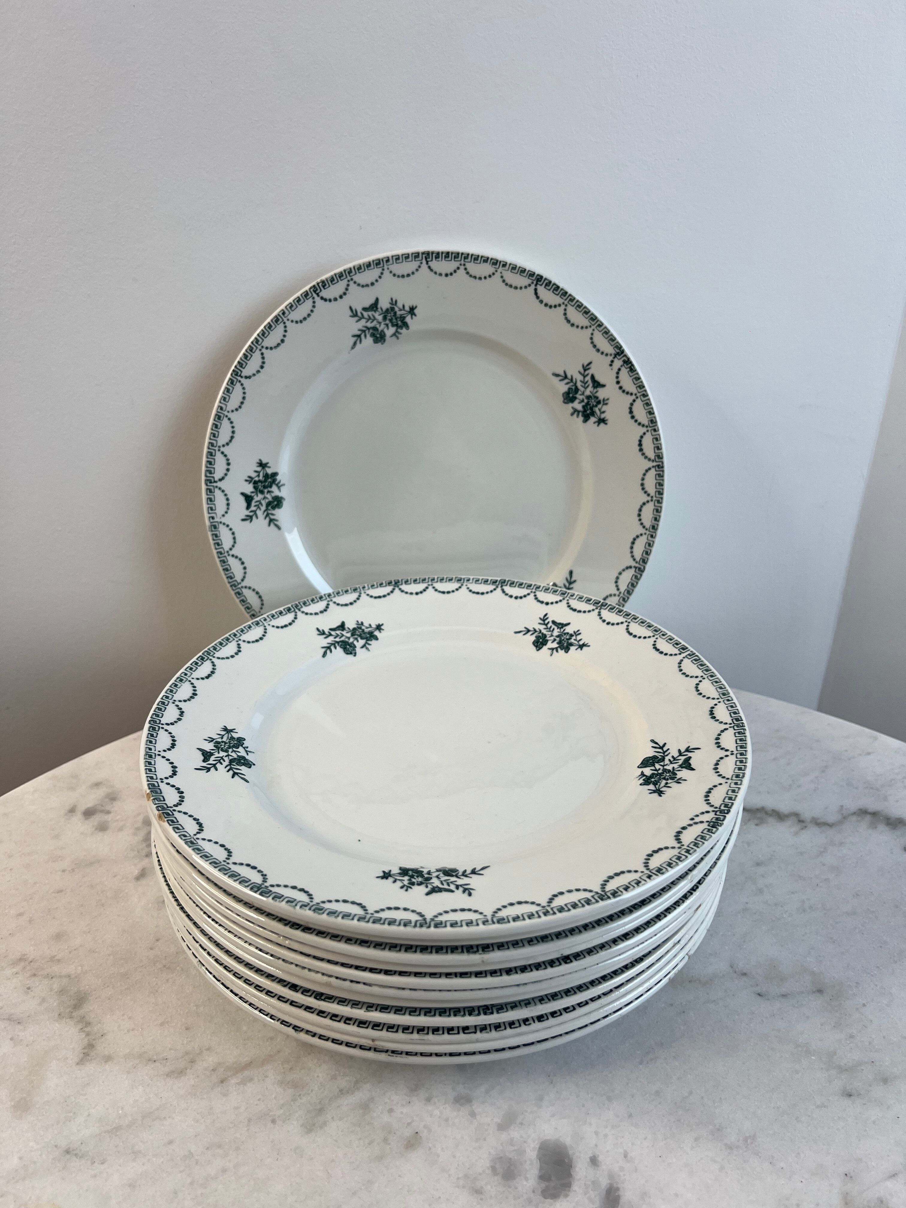 Set of 12 antique flat plates — Céranord pottery, model