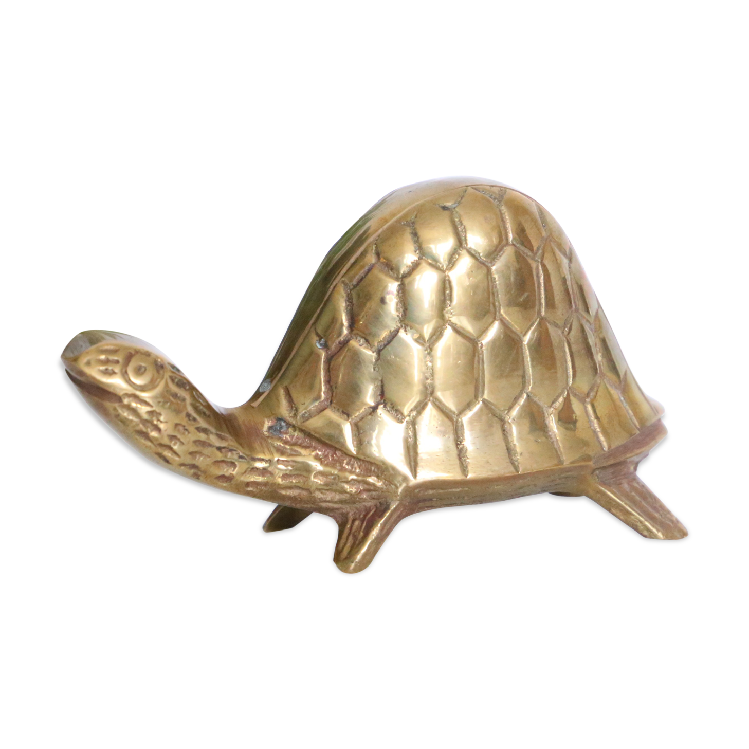Brass turtle