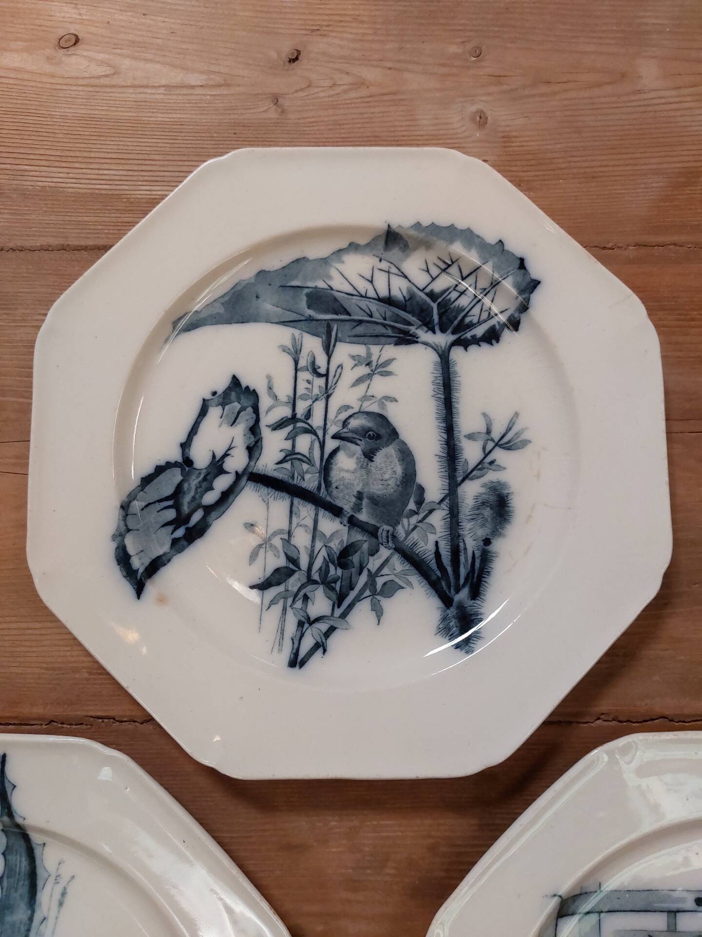 Set of three ironstone plates decorated with birds.