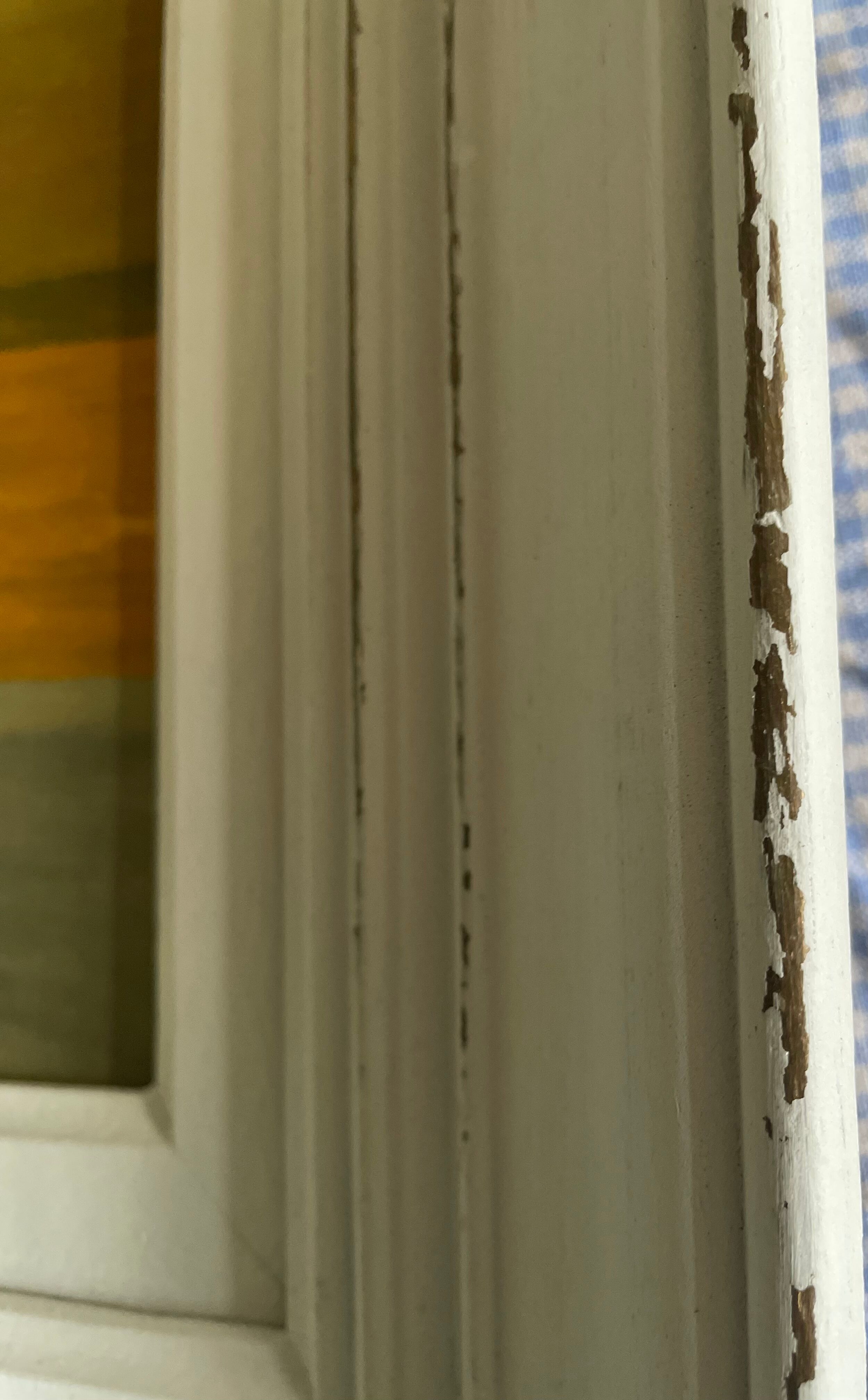 Old painting bouquet of anemones